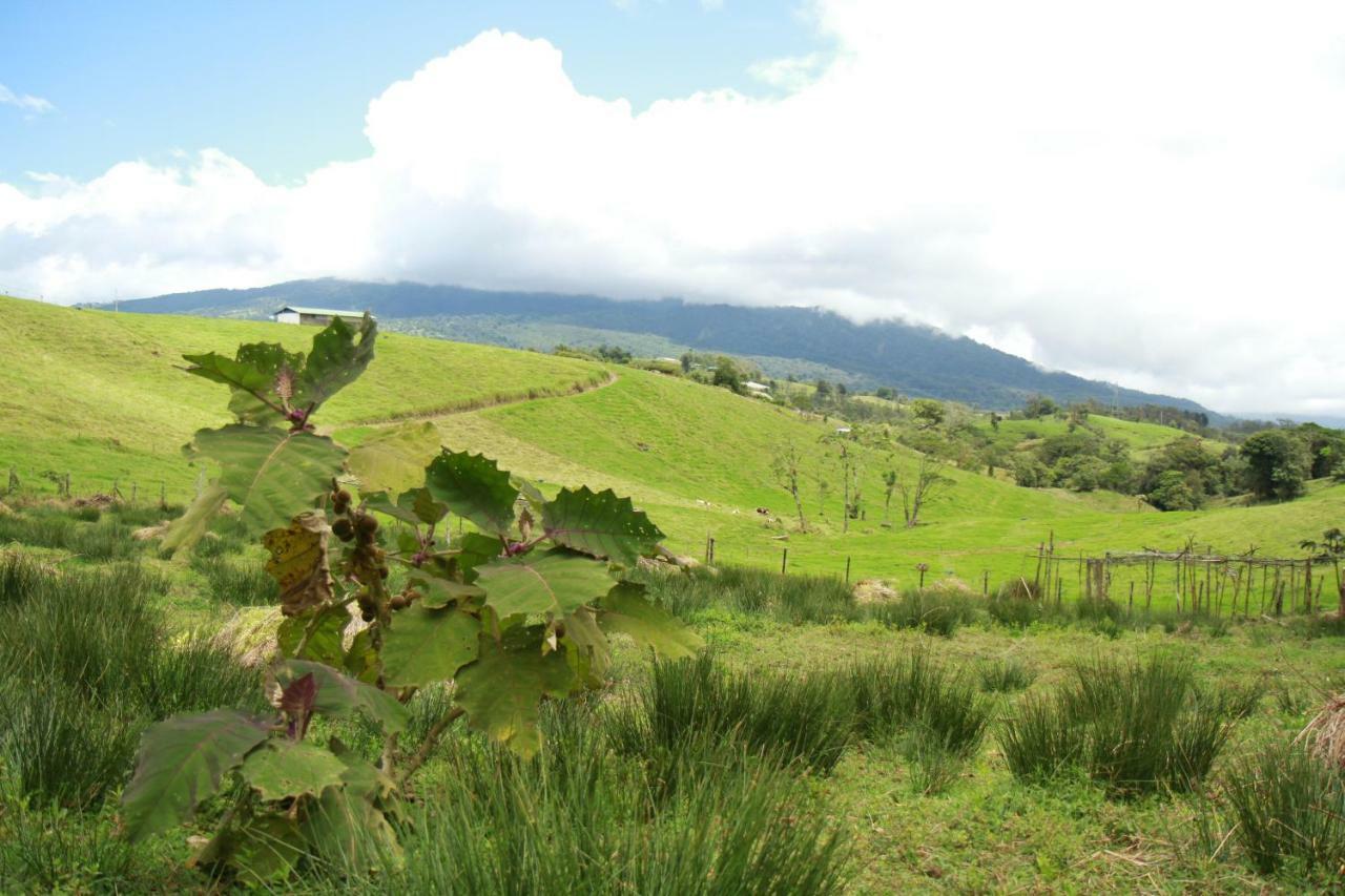 Casa Volcano Panoramic View Vara Blanca  ภายนอก รูปภาพ